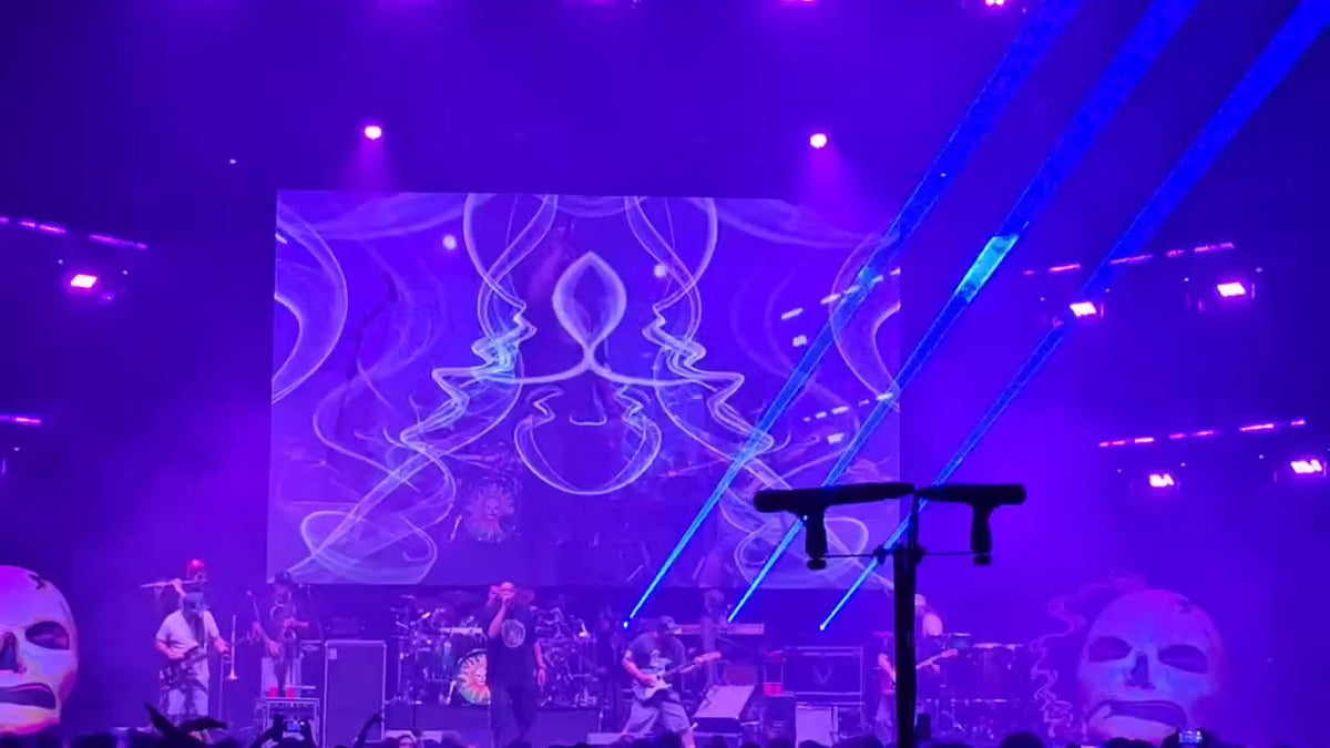 DMTPORTAL imagery in the live visual mix at a Slightly Stoopid show.